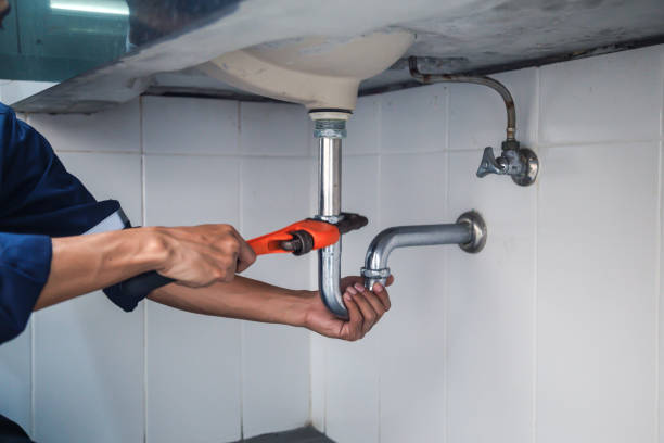 Best Plumbing Inspection Services  in Sevierville, TN