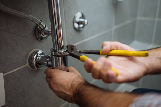  Sevierville, TN Plumbing Pros